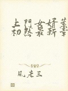 上门女婿叶辰萧初然最新章节免费阅读