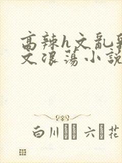 高辣h文乱乳h文浪荡小说苏瑾瑶