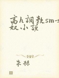 高h调教sm女奴小说