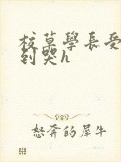 校草学长受被做到哭h