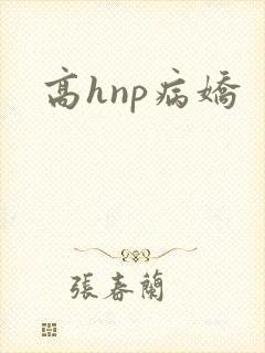 高hnp病娇