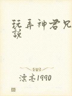 玩弄神君兄长小说