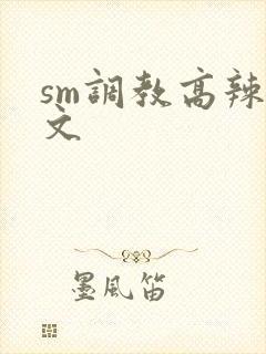 sm调教高辣h文