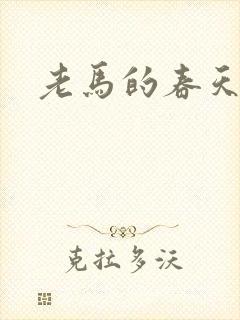 老马的春天敏静封面
