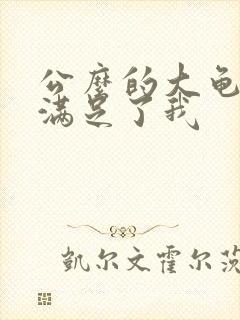 公么的大龟强大满足了我