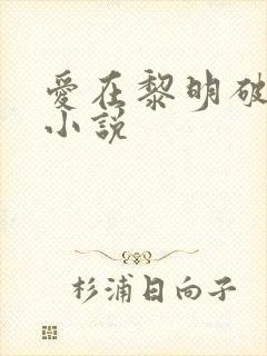 爱在黎明破晓前小说