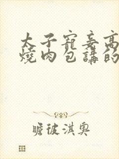 太子宠妾高肉红烧肉包讲的什么封面