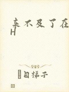 来不及了在车CH