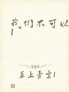 我们不可以1v1封面