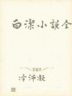 白洁小说全文封面