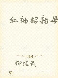红袖招韵母攻略封面
