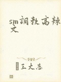 sm调教高辣h文封面