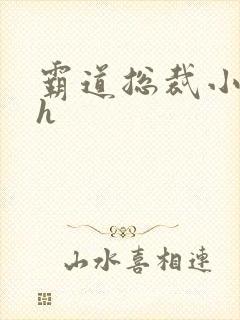 霸道总裁小娇妻h