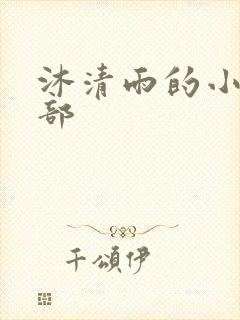 沐清雨的小说全部
