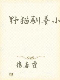 野猫驯养小说