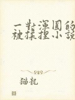 一对浑圆的胸乳被揉捏小说