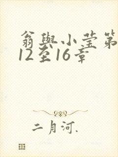 翁与小莹第十部12至16章封面