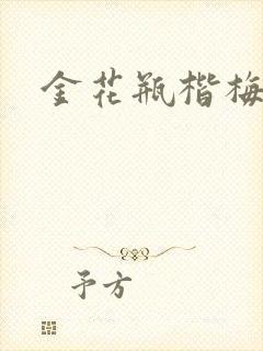 金花瓶楷梅花5封面