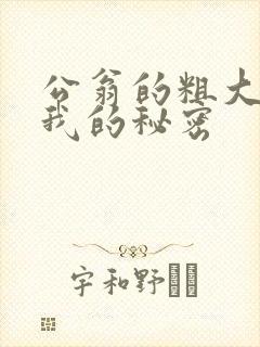 公翁的粗大放进我的秘密封面