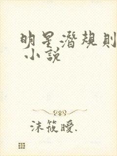 明星潜规则之皇 小说