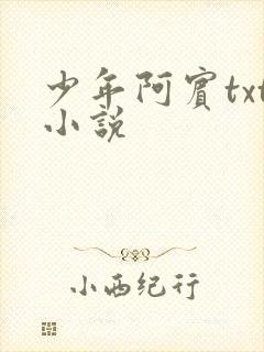 少年阿宾txt小说