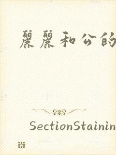 丽丽和公的激情