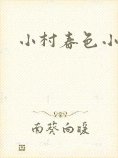 小村春色小说封面