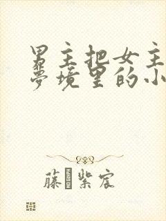 男主把女主拖进梦境里的小说