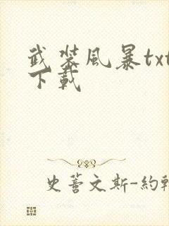 武装风暴txt下载