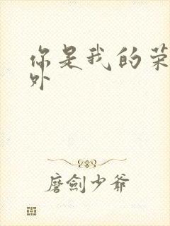 你是我的荣耀番外