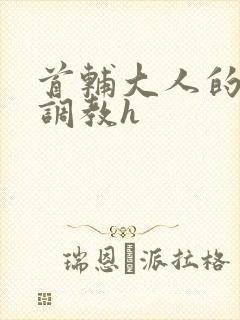 首辅大人的花式调教h