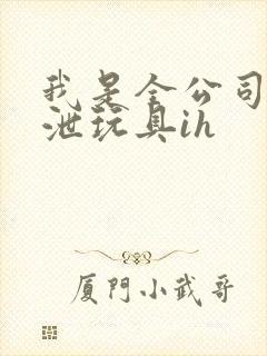 我是全公司的发泄玩具ih封面