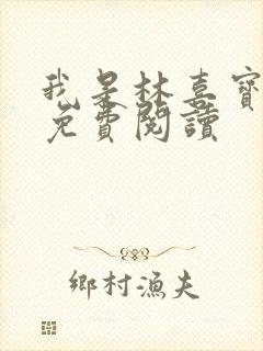 我是林喜宝小说免费阅读