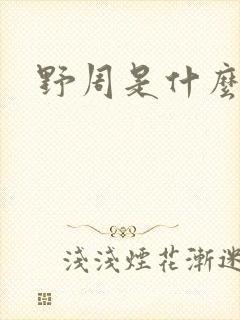 野周是什么意思