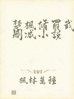 楚枫修罗武神未删减小说