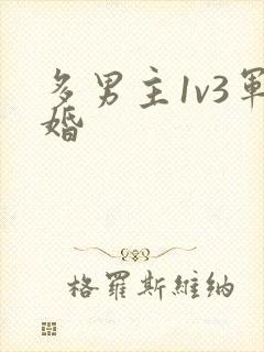 多男主1v3军婚