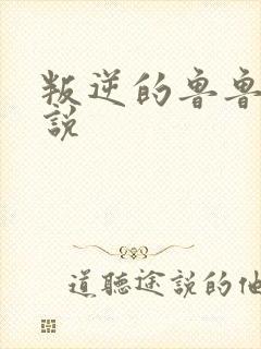 叛逆的鲁鲁修小说