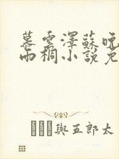 慕云泽苏晚晴夏雨桐小说免费阅读