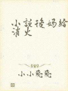 小说后妈给我消消火