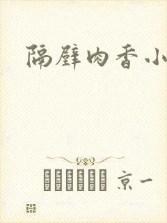 隔壁肉香小说