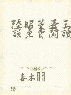 陆昭菱晋王的小说免费阅读