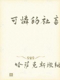 可怜的社畜小说