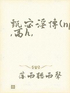 甄宓淫传(np,高h,