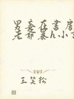 男妾在书房边被老爷暴h小说