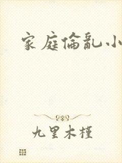 家庭伦乱小说封面