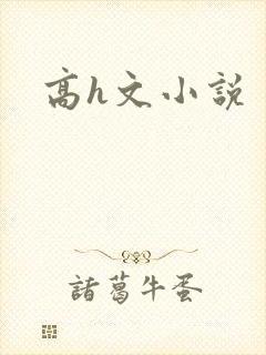 高h文小说