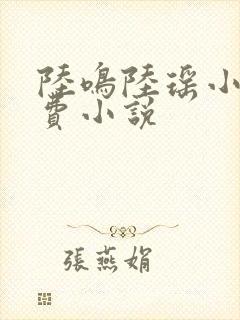 陆鸣陆瑶小说免费小说