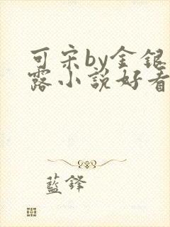 可宋by金银花露小说好看吗