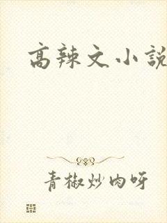 高辣文小说