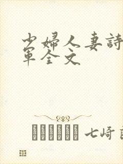 少妇人妻诗雨小军全文